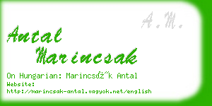 antal marincsak business card